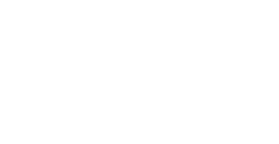 Nina Logo